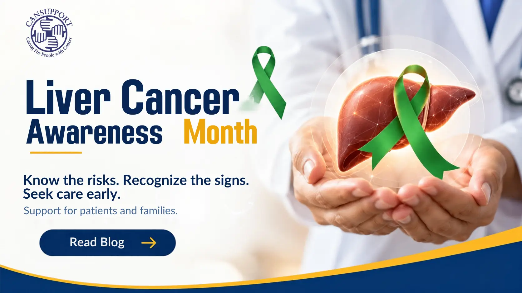 Liver cancer awareness month